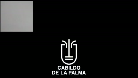 Sesión Plenaria Ordinaria de fecha 04 de diciembre de 2025